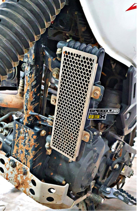 Oil Cooler Grill (BS6 2V) for XPULSE 200